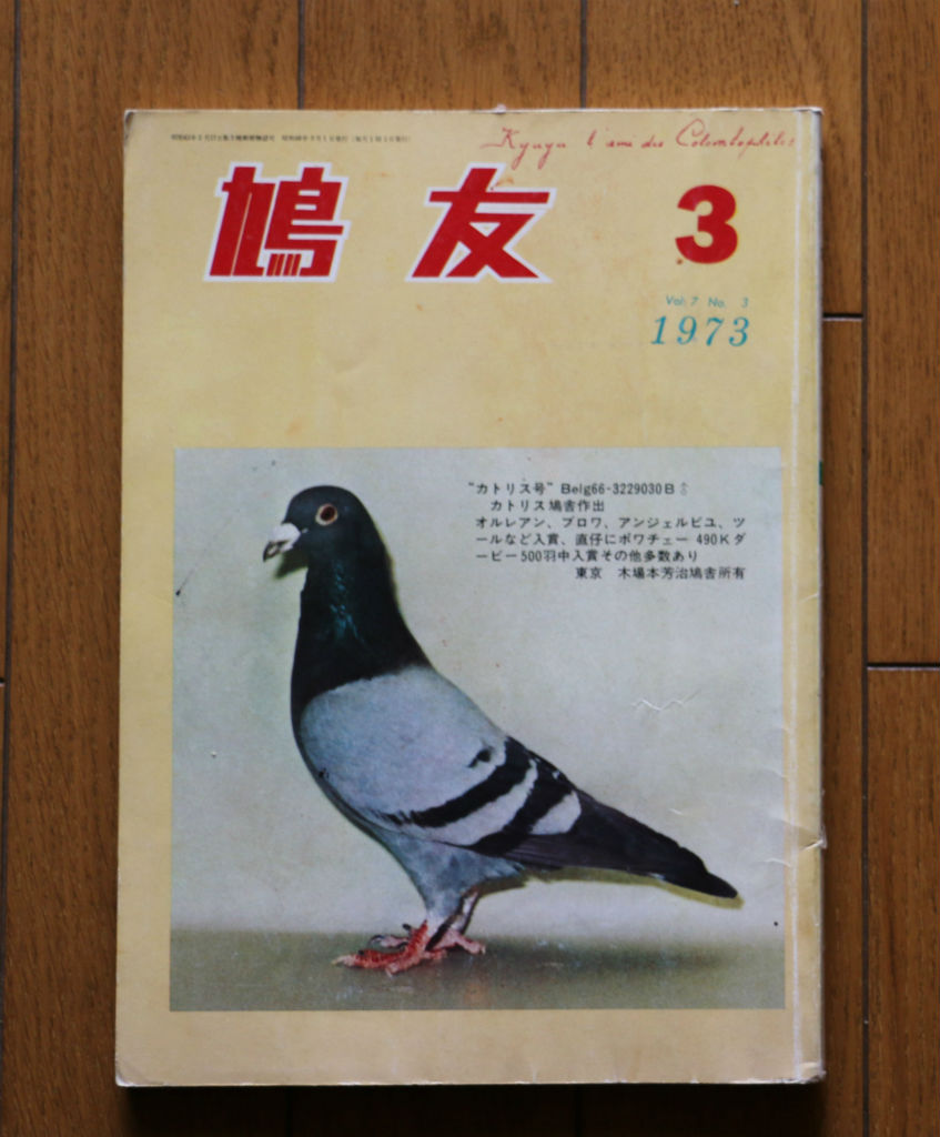 Pigeon Auction - 鳩友。。。１９７３年３月号