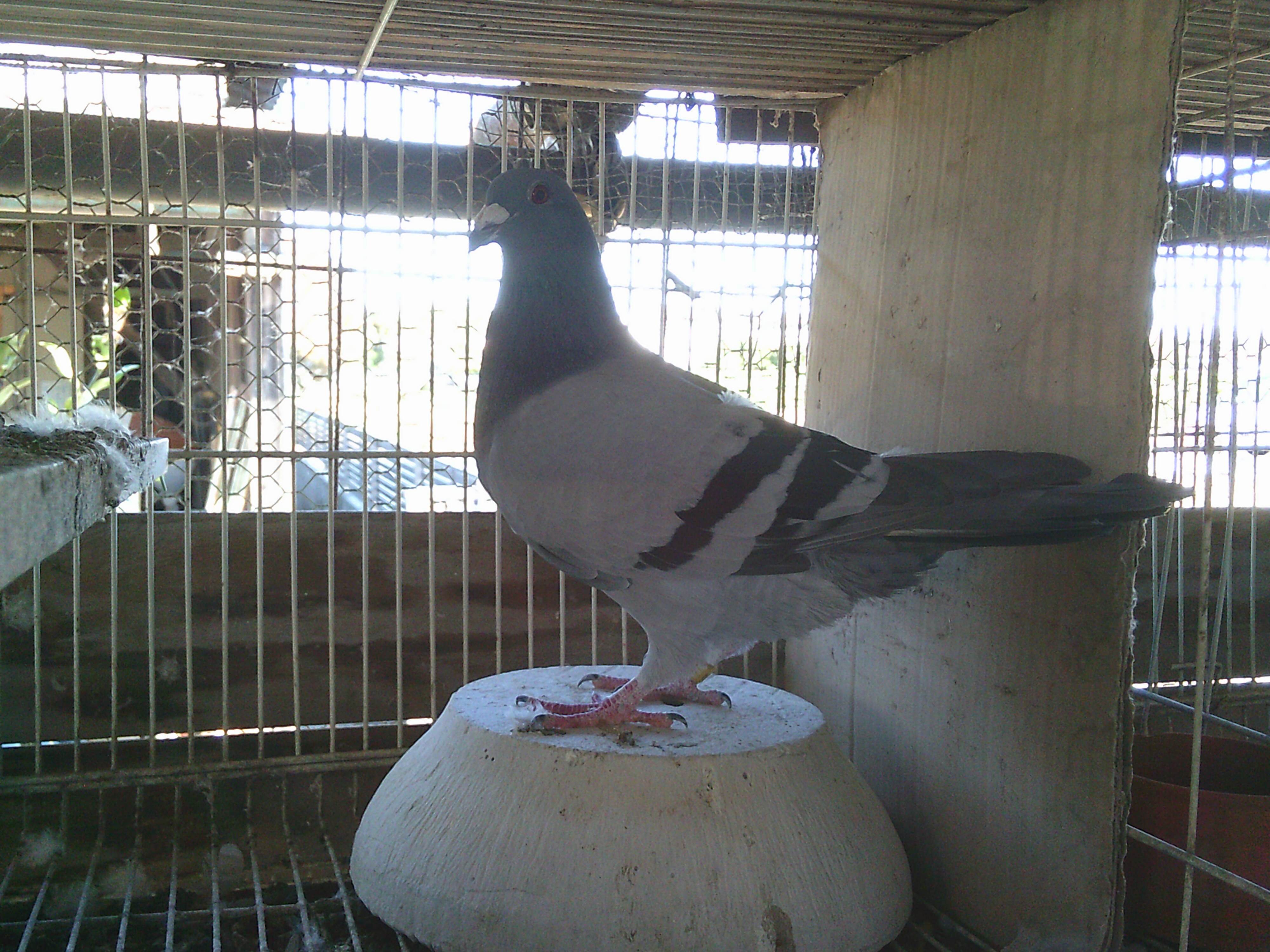 24KA29354  B   �I�X�@