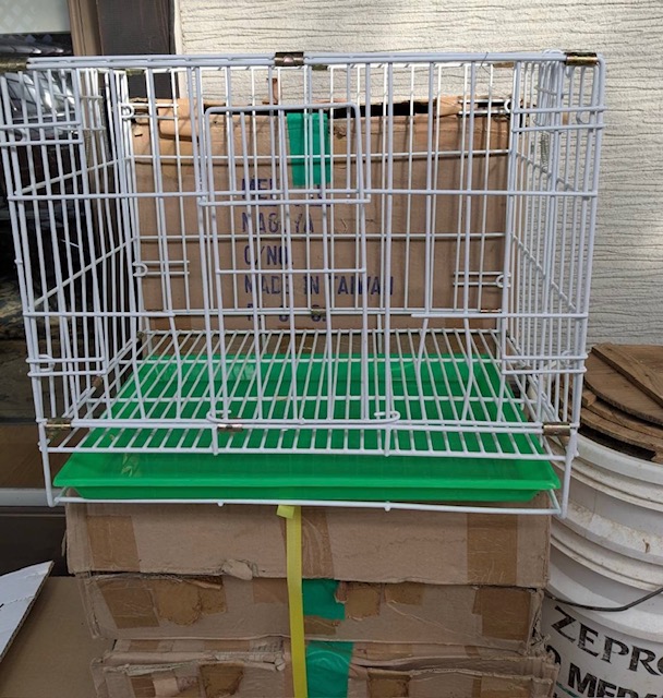 �W���p�J�S�i���g�p�i�j��p���@�S�Z�b�g