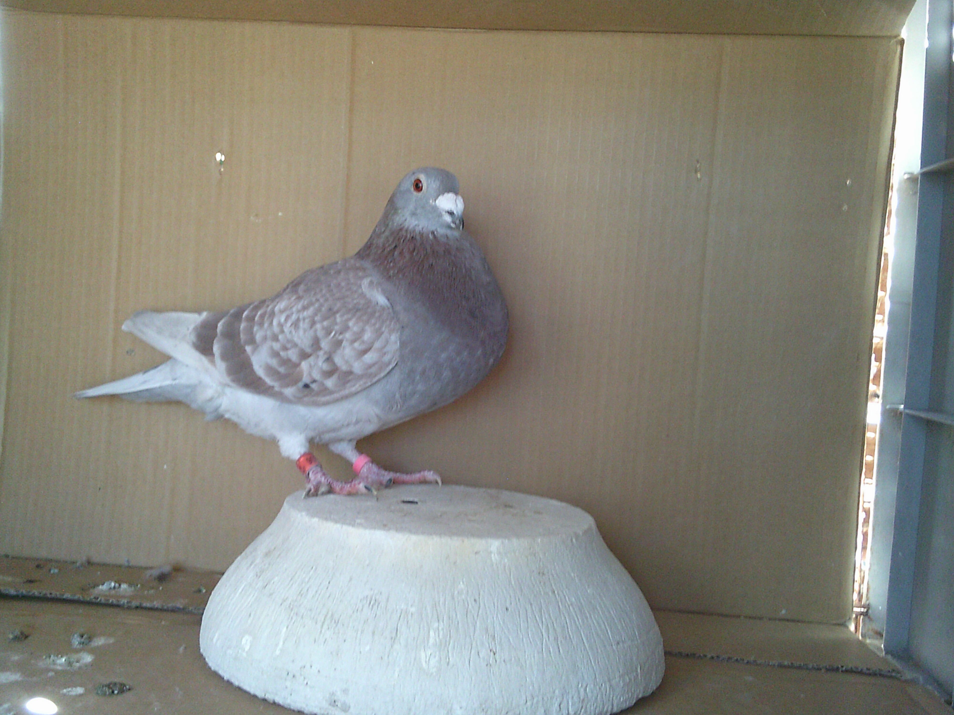 �Q�Q�j�`�Q�Q�T�R�U�@�q�b�@�I�X�@�t�����]�[�l�~M�E�I�[�^�[�X