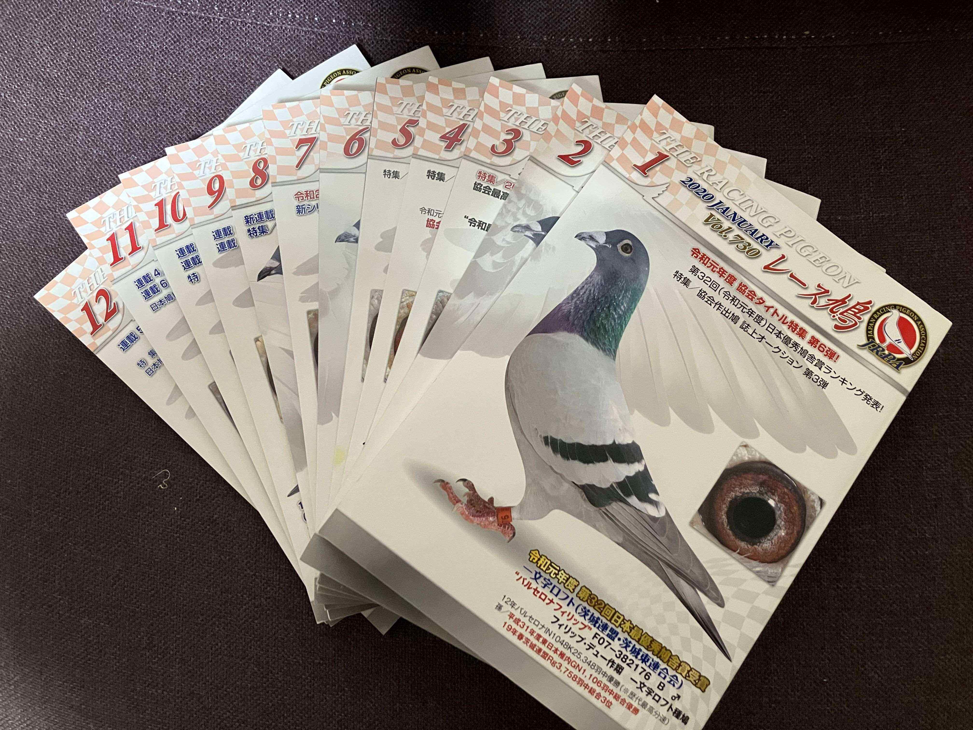 ���[�X�����@2020�N�@�P�N��(12��)