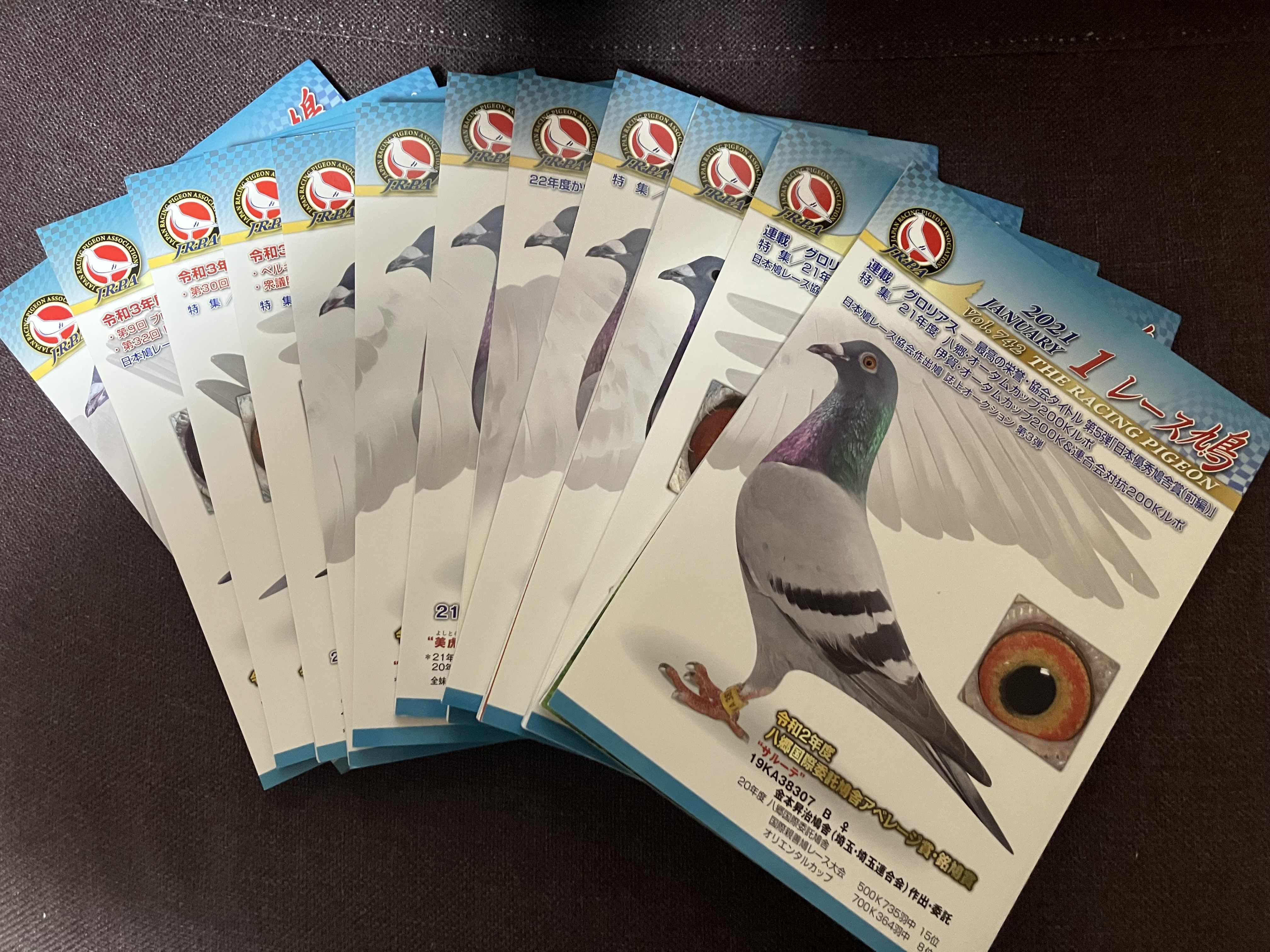 ���[�X�����@2021�N�@�P�N��(12��)