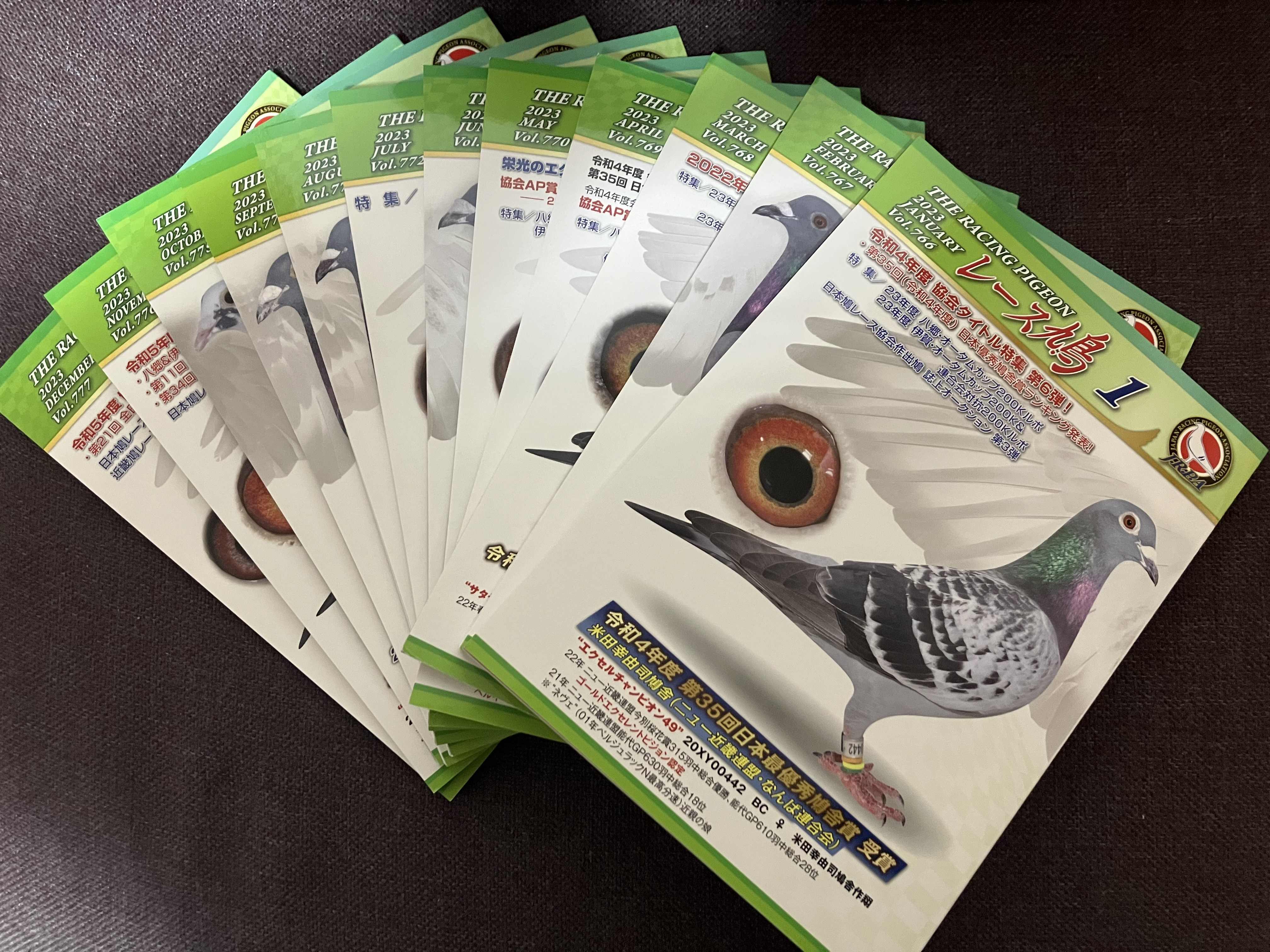 ���[�X�����@2023�N�@�P�N��(12��)