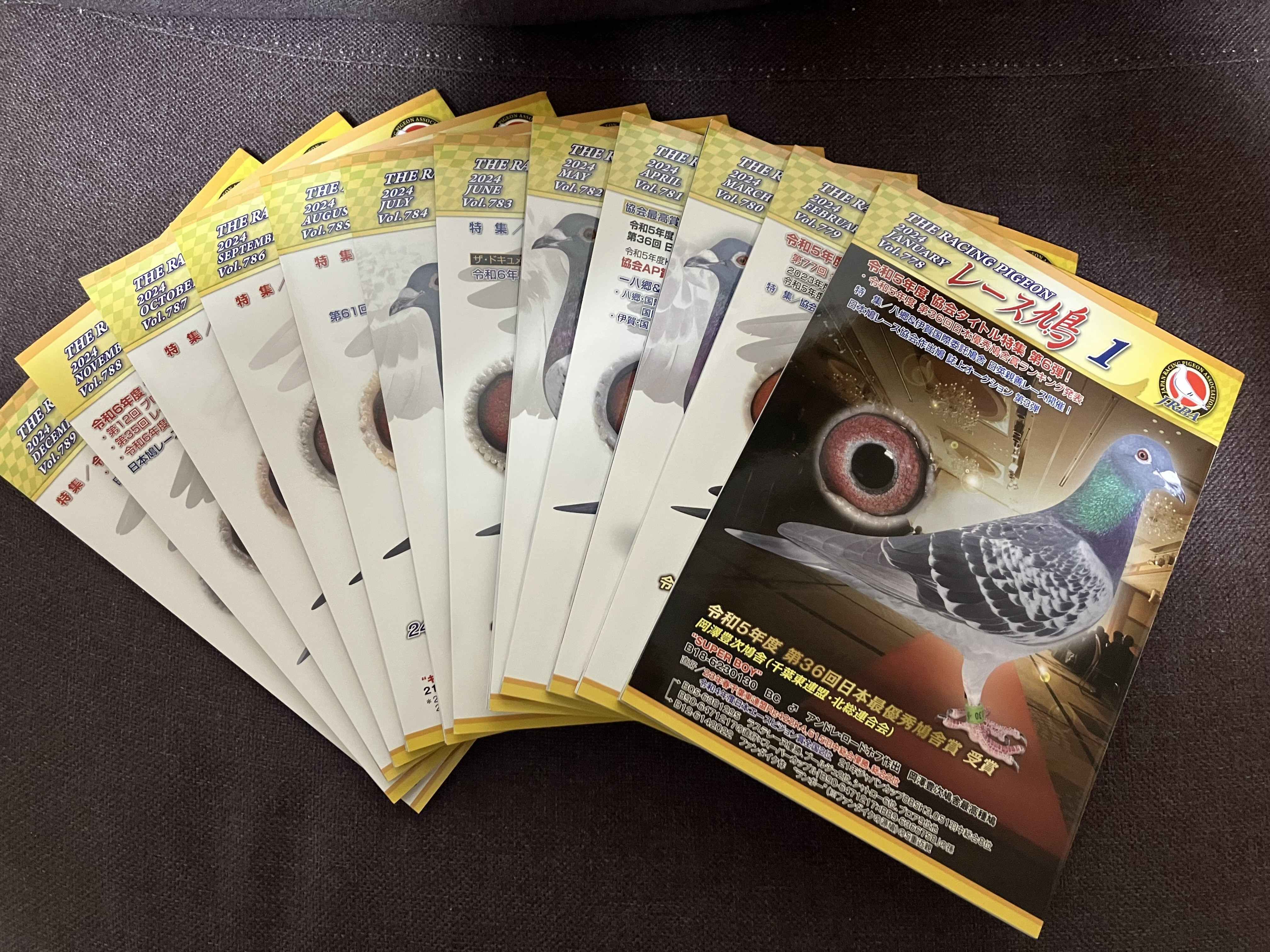 ���[�X�����@2024�N�@�P�N��(12��)