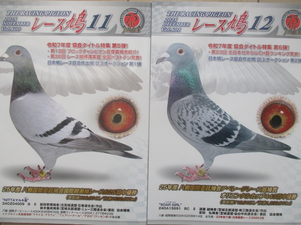 ���[�X�����i�P�P�����A�P�Q�����j