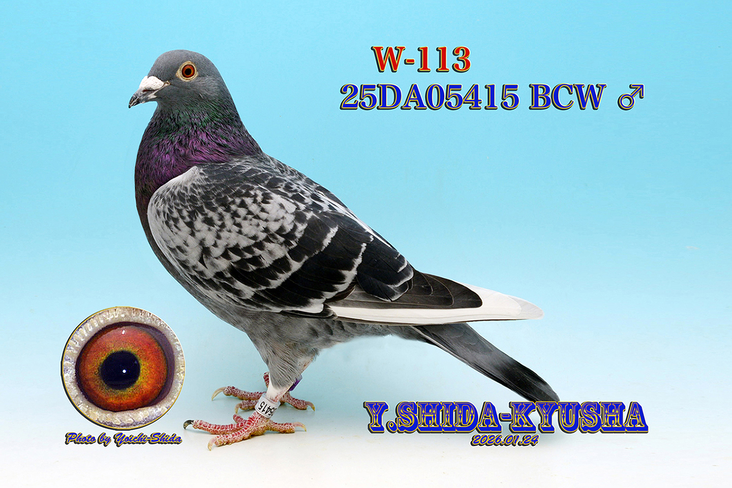 😀㊕W-113 ����UFO���t�g 1,000K�����D���t�@���^���̑�❎�� �ߐe����