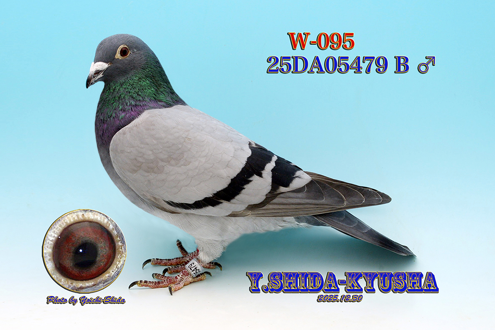 😀㊕W-095 �������۔��ɂő劈��̃A�h�x���`���[�n❎����400�EAAA�n����