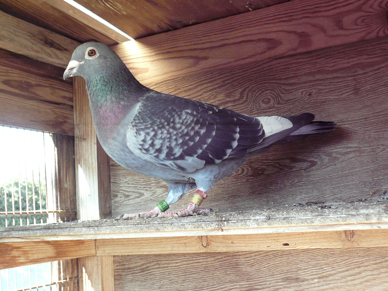 02-06 ��쒷�����n