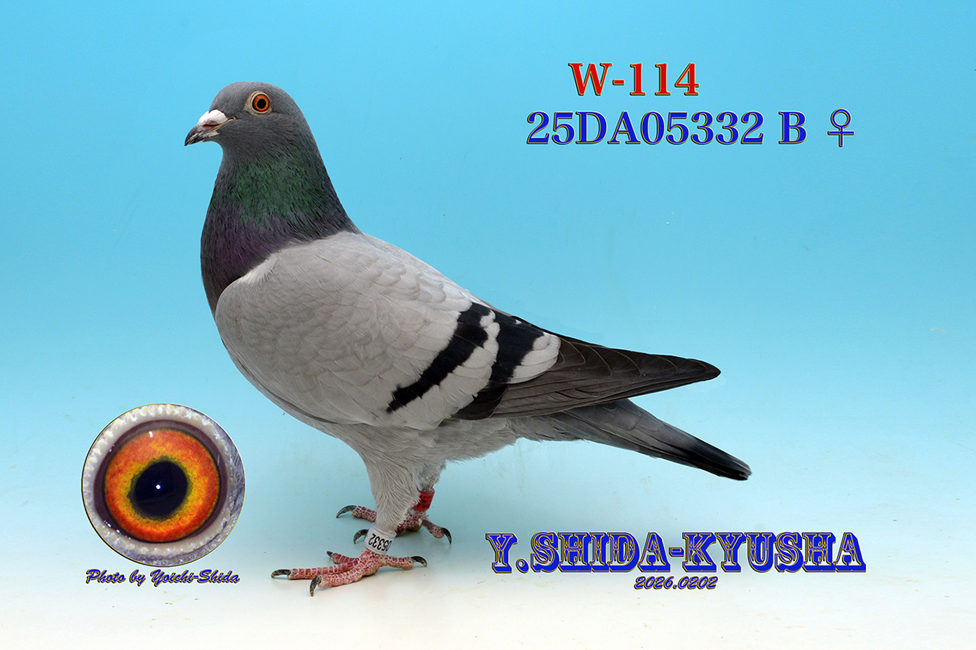 W-114 ☆★ 23年度 伊賀オータムカップ200K全国9位・国際サクセス200K全国7位の全兄弟★☆