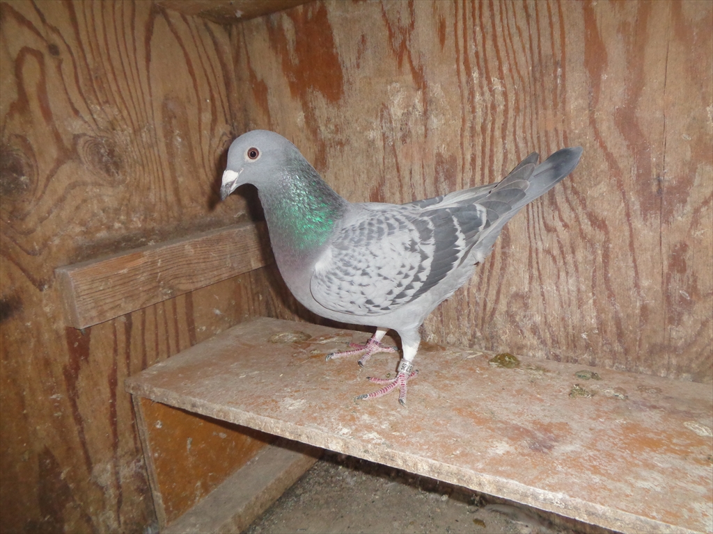 25KA18726�@�a�b�@���@�n��m10�ʂ̖�