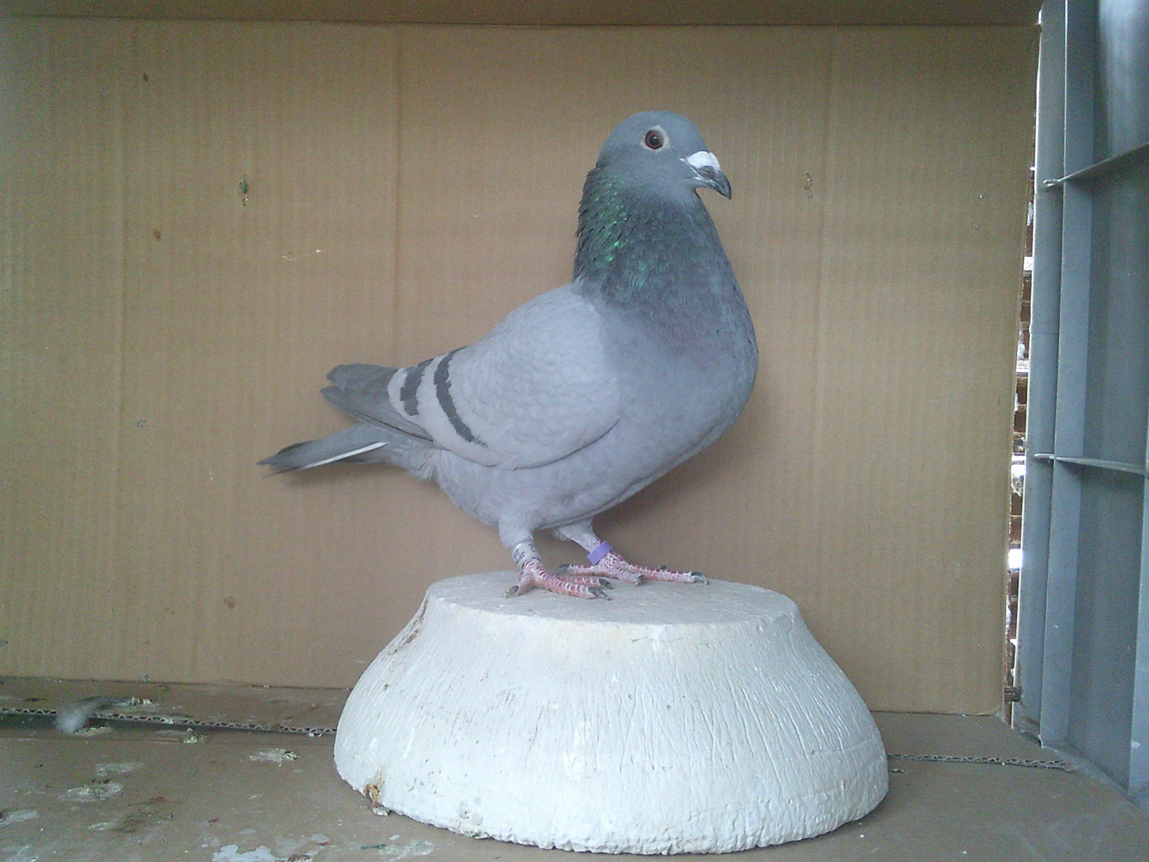 25KA15452  B�@���X�@�@�T���E���E�T���o���T�������e