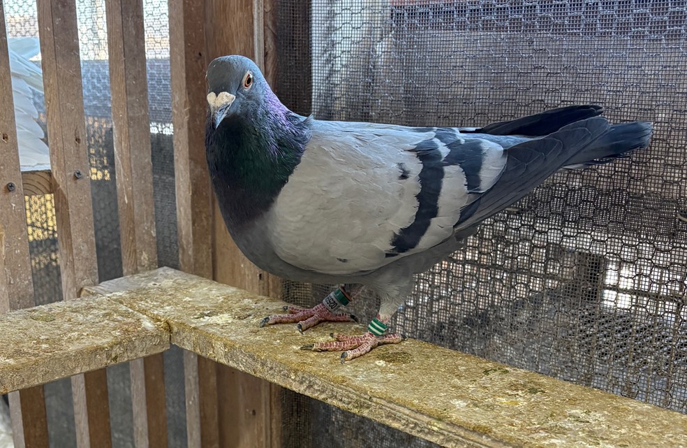 ����400�����n��N�����D��X���ԏܑ���2�ʑ��R�^�C�g��