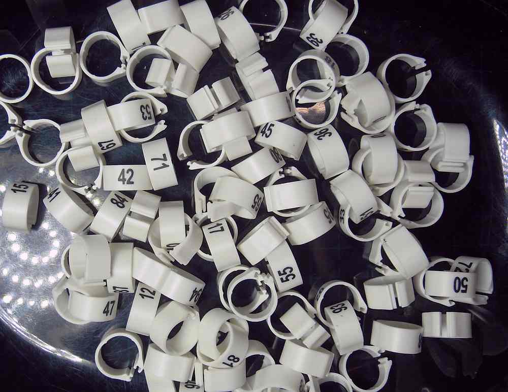 �i���o�����O�E�p�b�`���@�r�J�o�[�^�@���F No.1-100