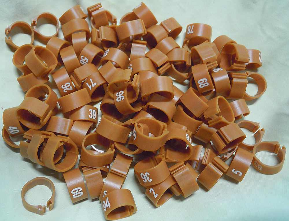 �i���o�����O�E�p�b�`���@�r�J�o�[�^ ���F No.1-100