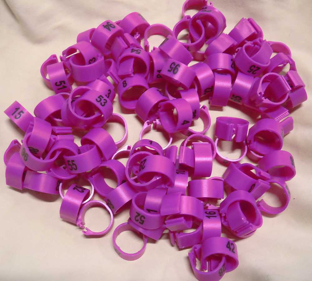 �i���o�����O�E�p�b�`���@�r�J�o�[�^ ���F No.1-100