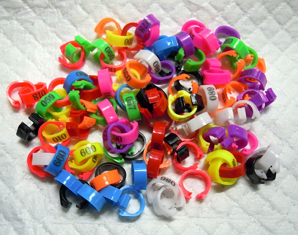 �i���o�����O�p�b�`���@�T�~�����@�~�b�N�X�J���[10�F�@100��