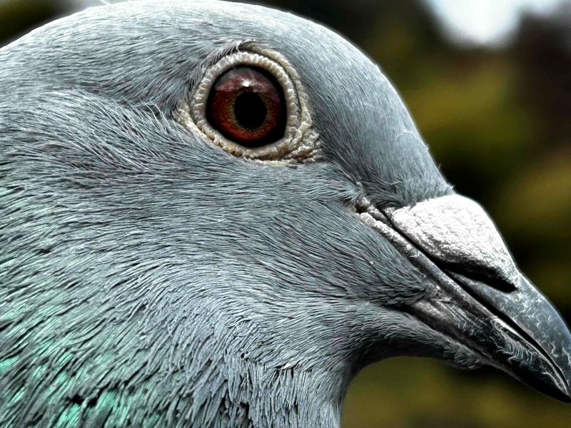 ���o�����[�s�W�������@�I�X�X���I�������Q�@25JH�O�P�R�P�R