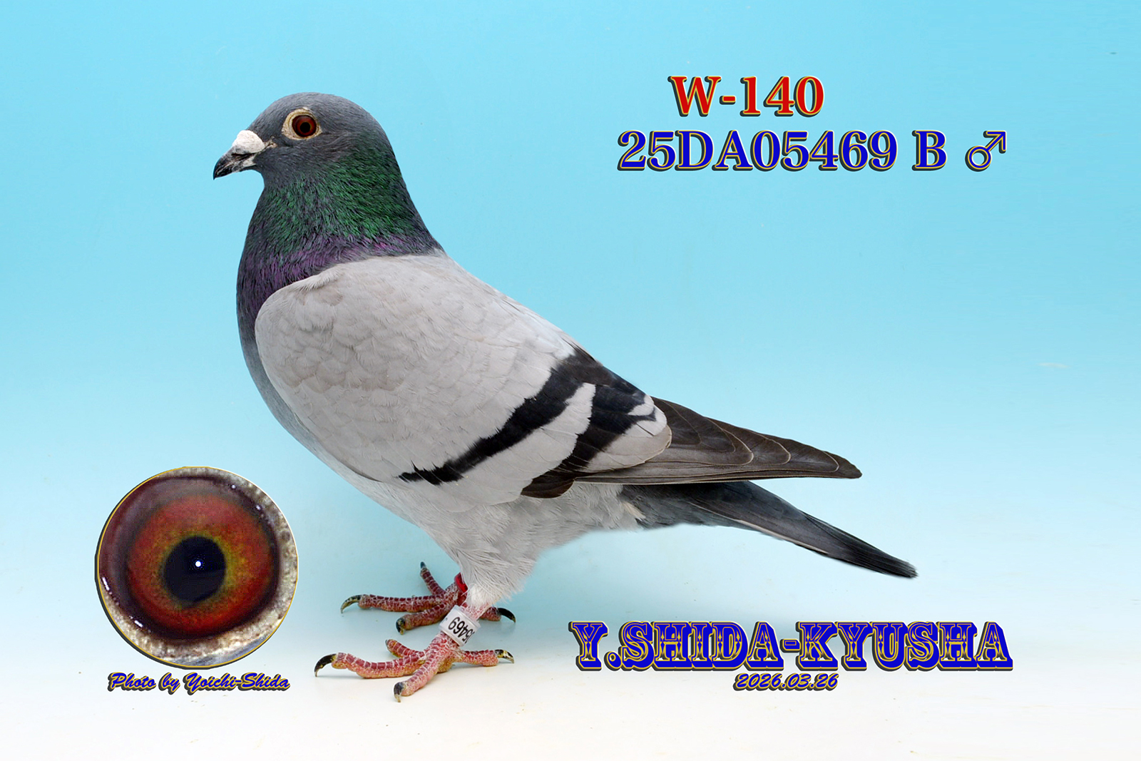 W-140 �����O�����v���O�n�摍���D���A�g���M�K��❎���~�����[�n�~����400�n����