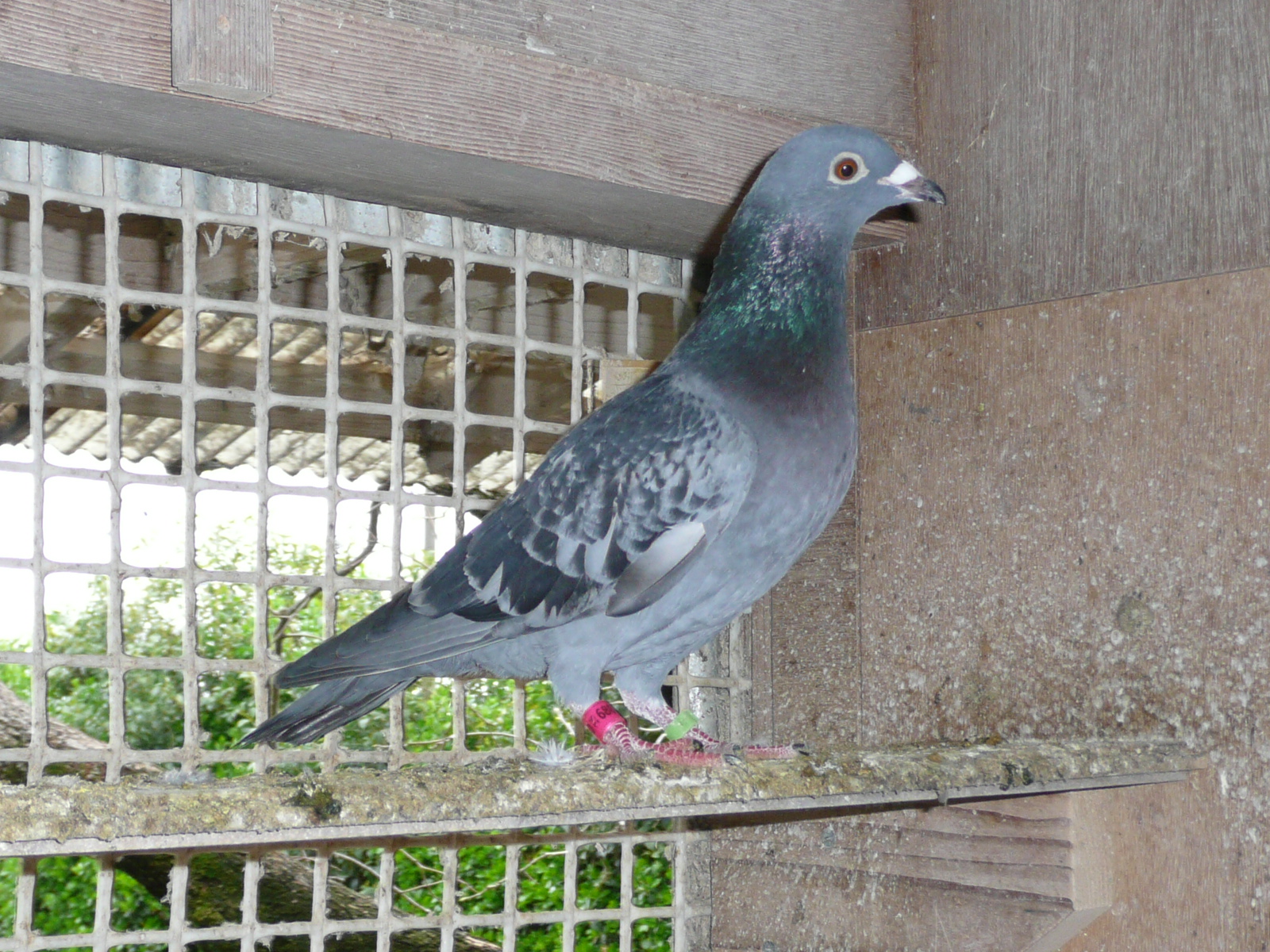 04-02  �΋������Z���ߐe